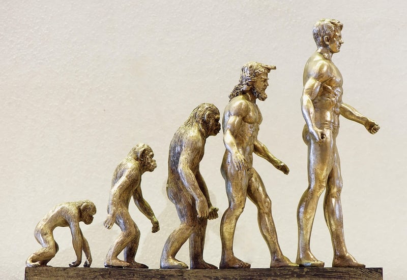 Temporal Evolution